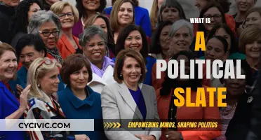 Understanding Political Slates: Candidates, Coalitions, and Election Strategies