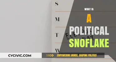 Understanding the Political Snowflake: A Modern Political Identity Explained