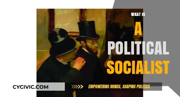 Understanding Political Socialism: Core Principles and Global Impact Explained