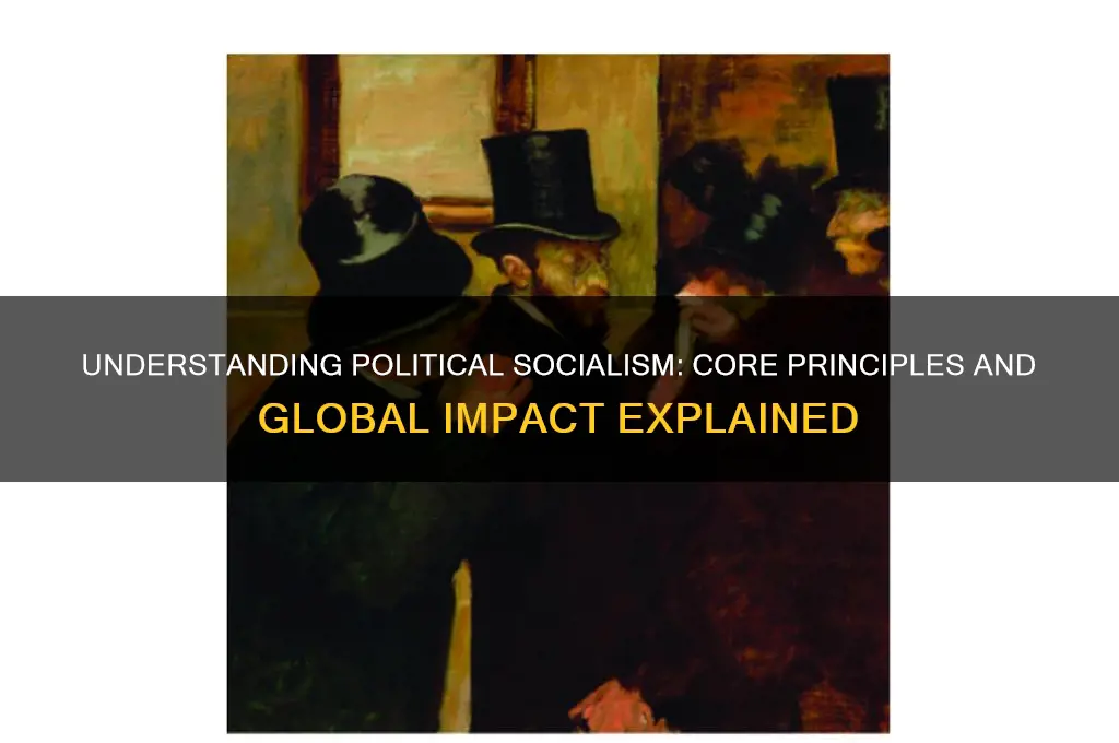 what is a political socialist