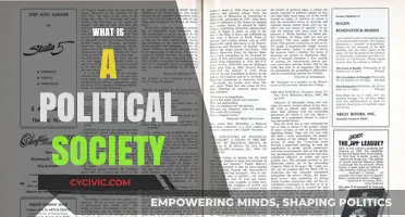 Understanding Political Society: Structure, Function, and Impact on Governance
