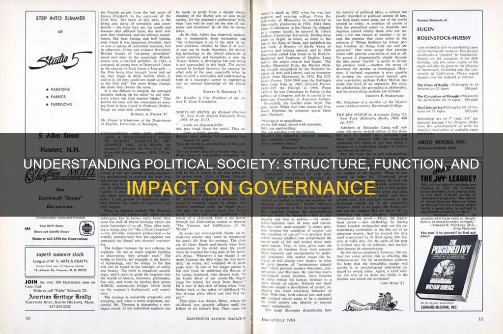 what is a political society