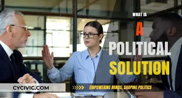 Understanding Political Solutions: Resolving Conflicts Through Dialogue and Compromise