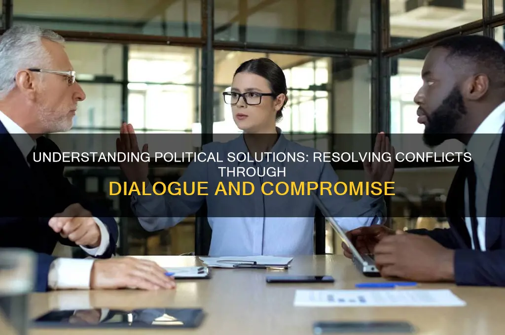 what is a political solution