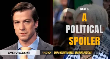 Understanding Political Spoilers: Their Role and Impact on Elections