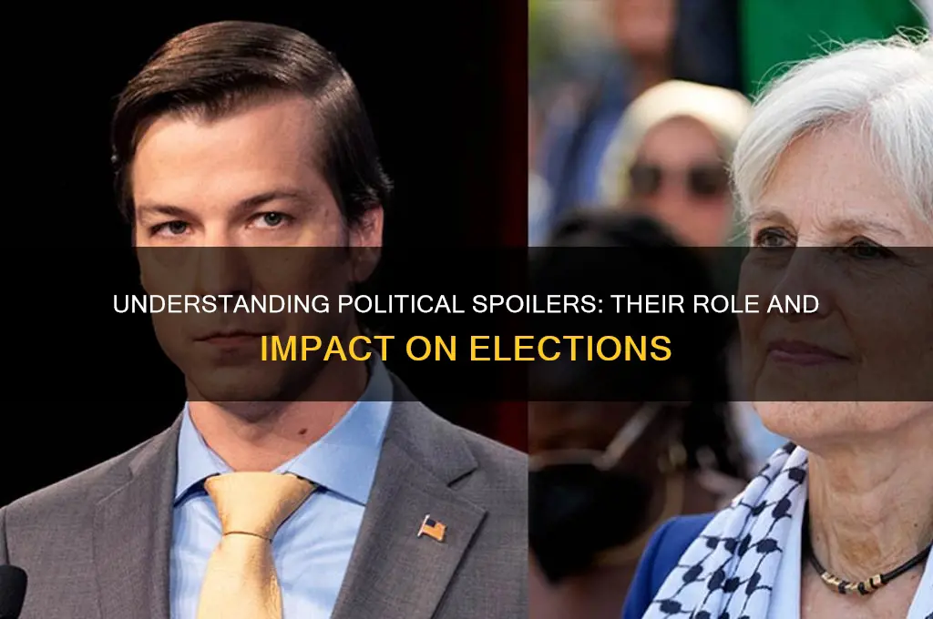 what is a political spoiler