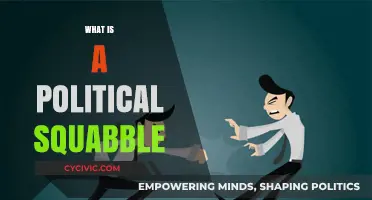Understanding Political Squabbles: Causes, Consequences, and Conflict Resolution