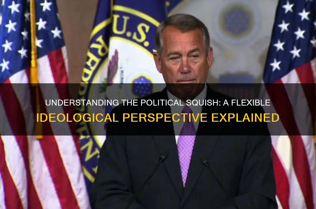 what is a political squish