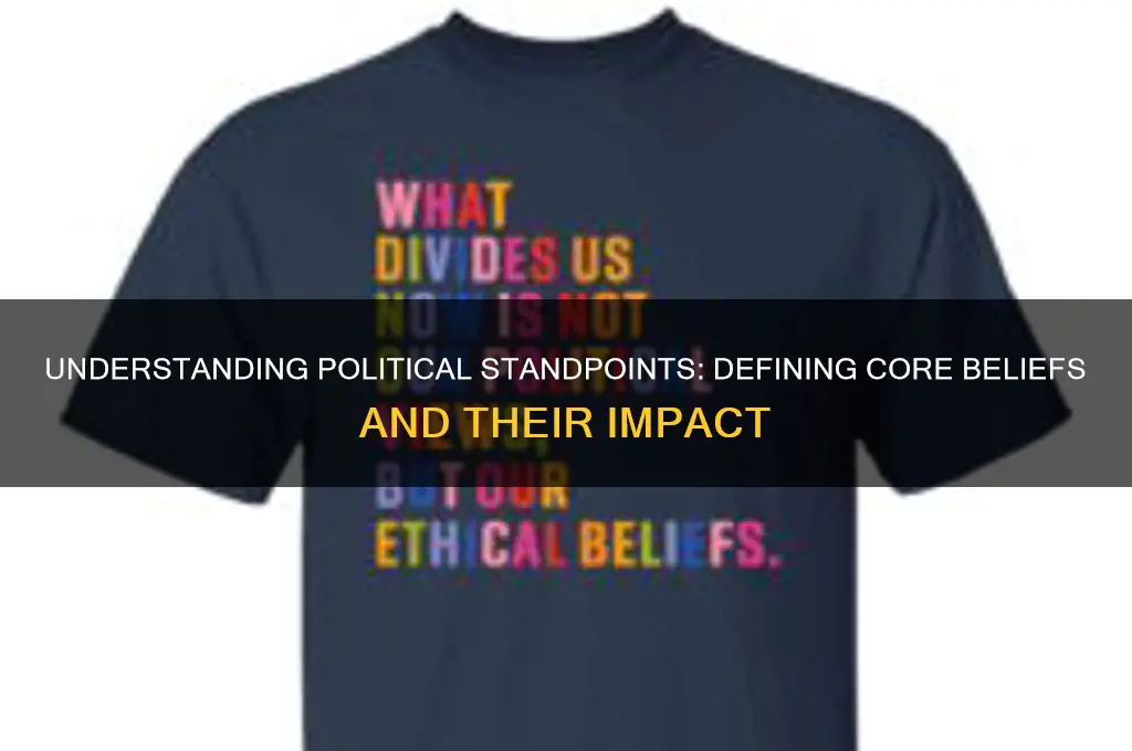 what is a political standpoint