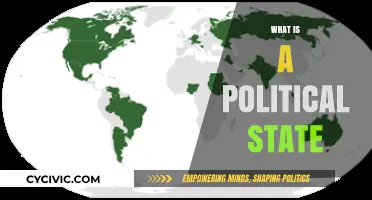 Understanding the Political State: Definition, Functions, and Global Significance
