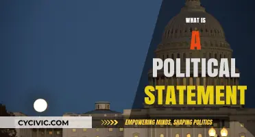 Understanding Political Statements: Power, Purpose, and Public Impact Explained