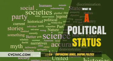 Understanding Political Status: Definitions, Implications, and Global Perspectives