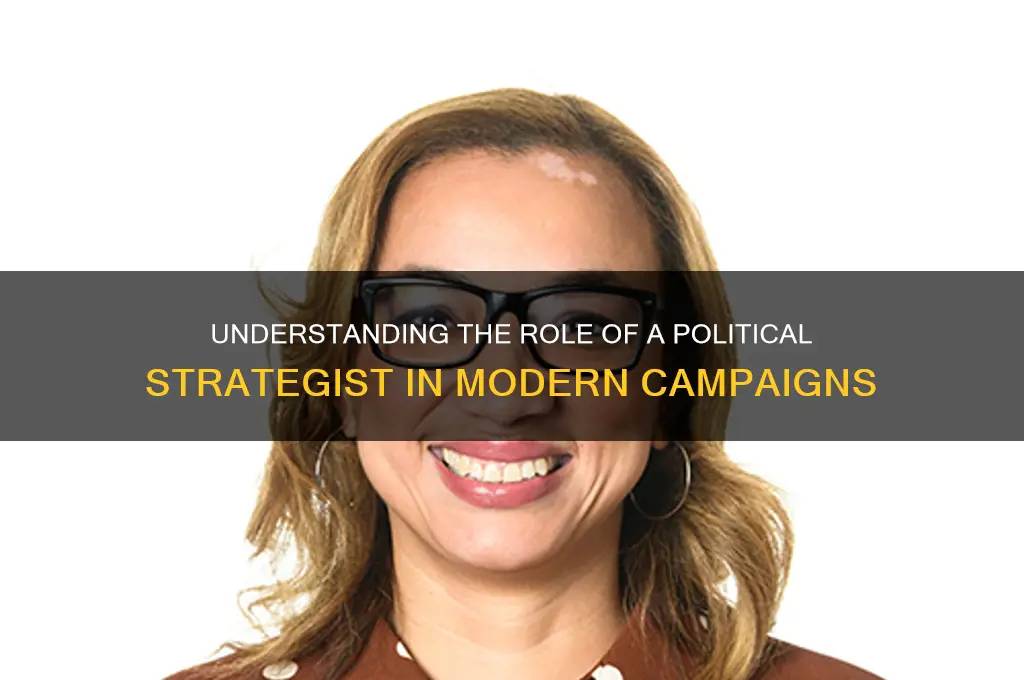 what is a political strategist