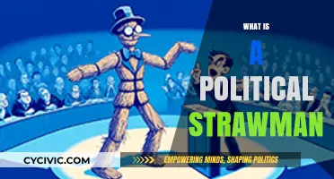Understanding Political Strawman Arguments: Tactics, Misconceptions, and Real Impact