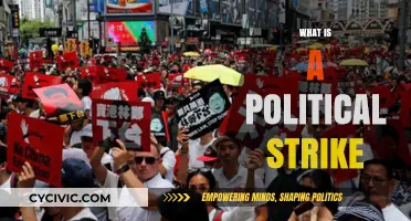 Understanding Political Strikes: Power, Protest, and Policy Impact Explained