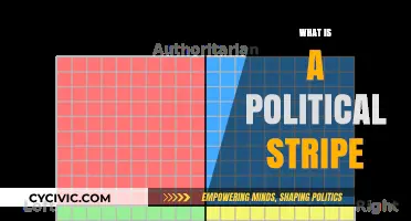 Understanding Political Stripes: Decoding Ideological Identities and Affiliations
