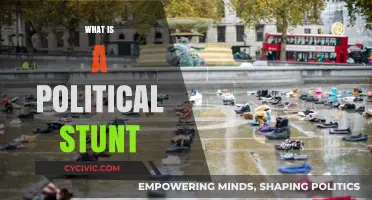 Unveiling Political Stunts: Tactics, Impact, and Public Perception Explained