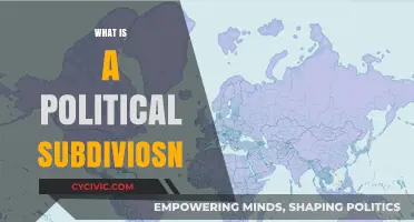 Understanding Political Subdivisions: Definition, Types, and Functions Explained