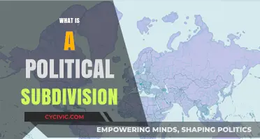 Understanding Political Subdivisions: Definition, Types, and Roles Explained