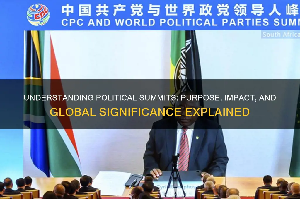 what is a political sumit