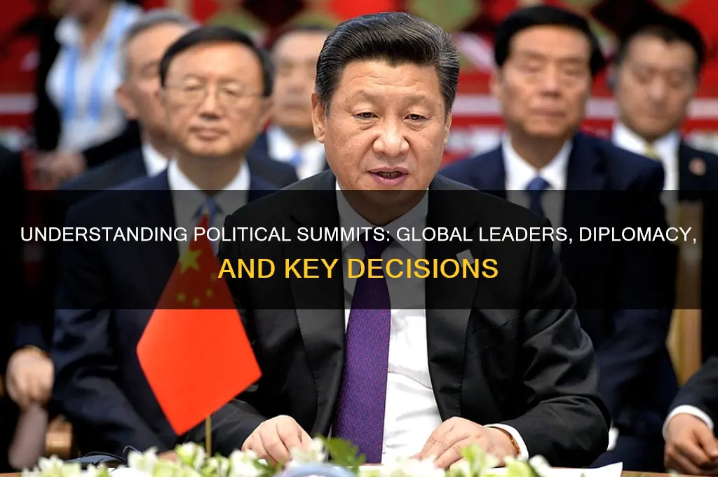 what is a political summit