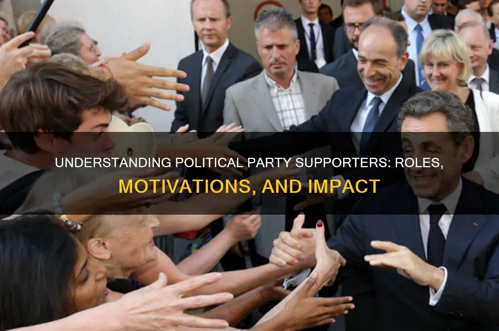 what is a political supporter for a party