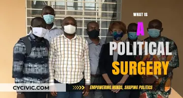 Understanding Political Surgeries: Direct Democracy in Local Governance Explained