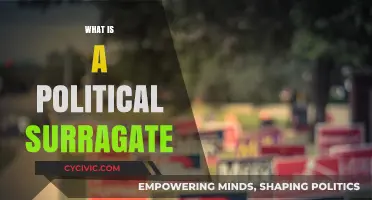 Understanding Political Surrogates: Roles, Influence, and Campaign Strategies