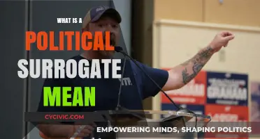 Decoding Political Surrogates: Understanding Their Role in Campaigns