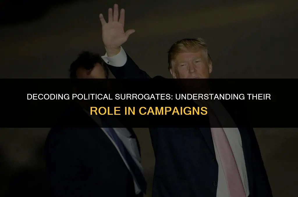 what is a political surrogate mean