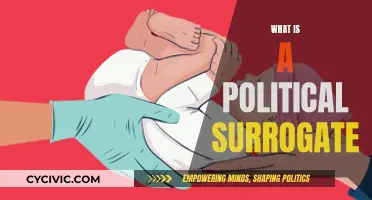 Who Are Political Surrogates and Why Are They Important?