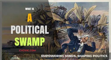 Understanding the Political Swamp: Corruption, Gridlock, and Power Dynamics Explained