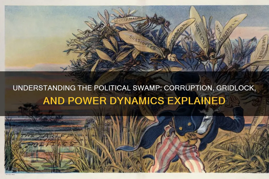 what is a political swamp