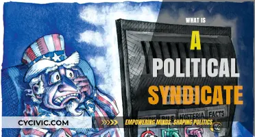 Understanding Political Syndicates: Power, Influence, and Global Networks Explained