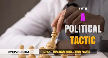 Understanding Political Tactics: Strategies, Influence, and Power in Governance
