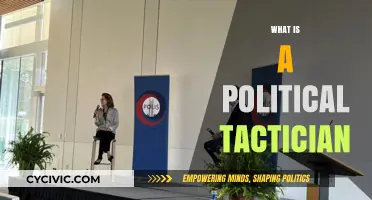 Mastering Political Strategy: Understanding the Role of a Tactician