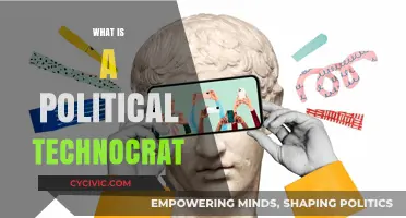 Understanding Political Technocrats: Expertise, Governance, and Power Dynamics