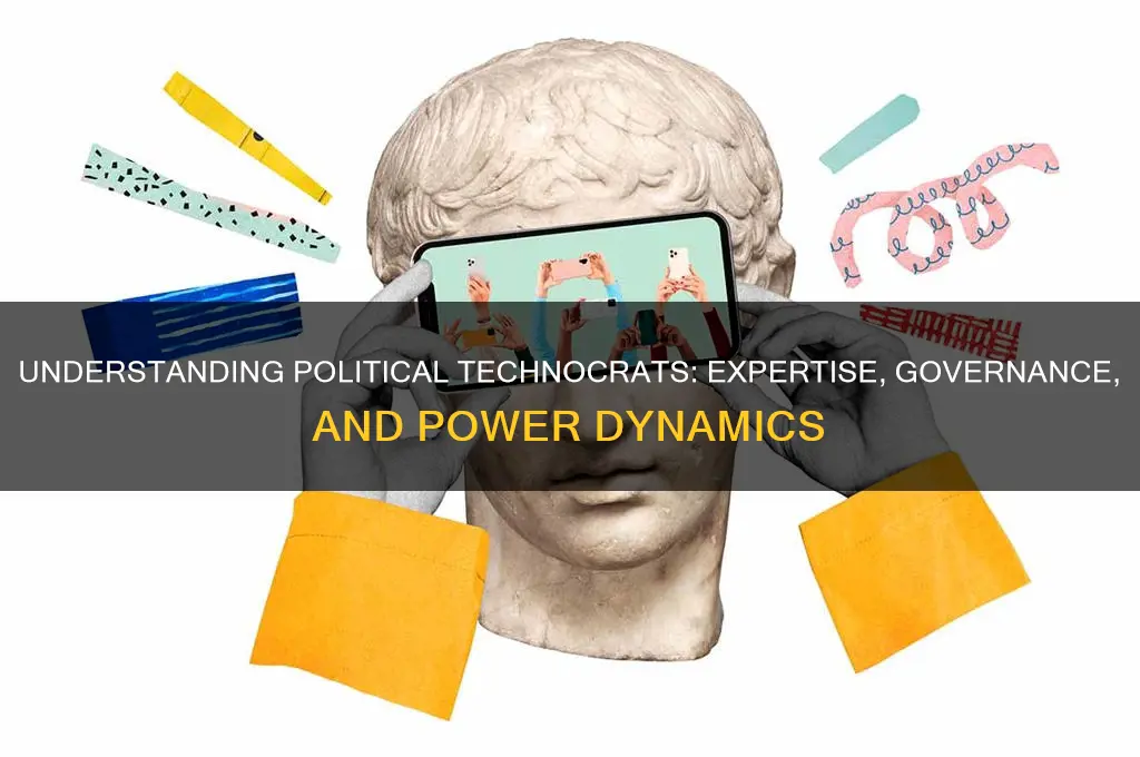 what is a political technocrat
