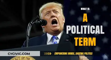 Understanding Political Terms: Definitions, Importance, and Real-World Applications