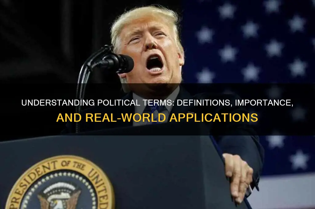 what is a political term