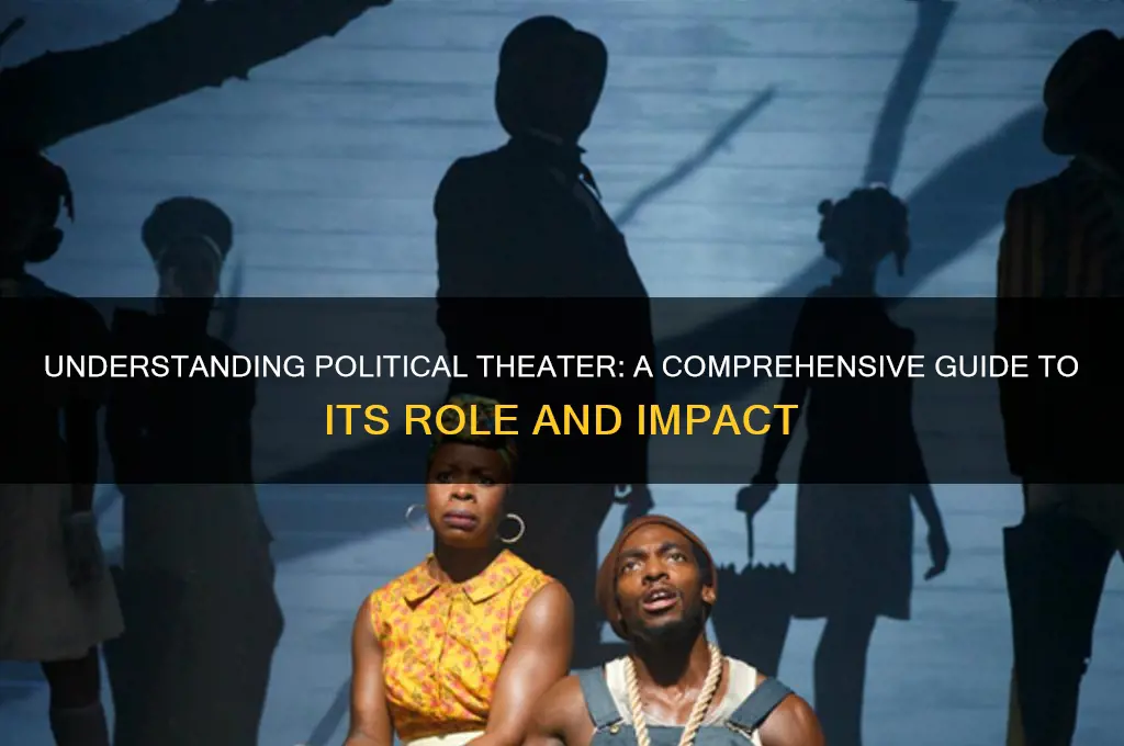 what is a political theater