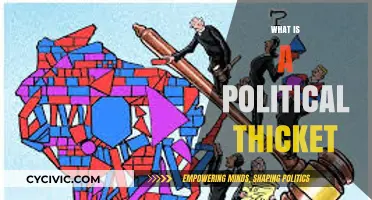 Navigating the Complex Political Thicket: Understanding Its Meaning and Impact
