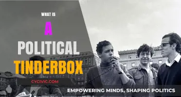 Understanding the Political Tinderbox: Causes, Consequences, and Global Implications