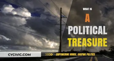 Unveiling the Concept of a Political Treasure: Power, Legacy, and Influence