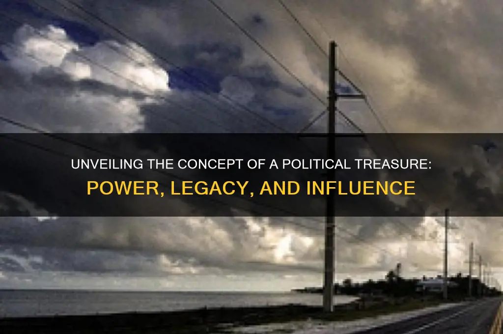 what is a political treasure