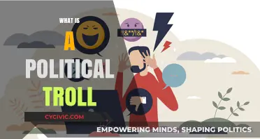 Unmasking Political Trolls: Tactics, Impact, and How to Counter Them