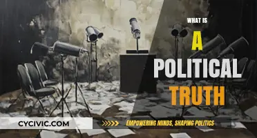 Unveiling Political Truth: Navigating Facts, Power, and Public Perception