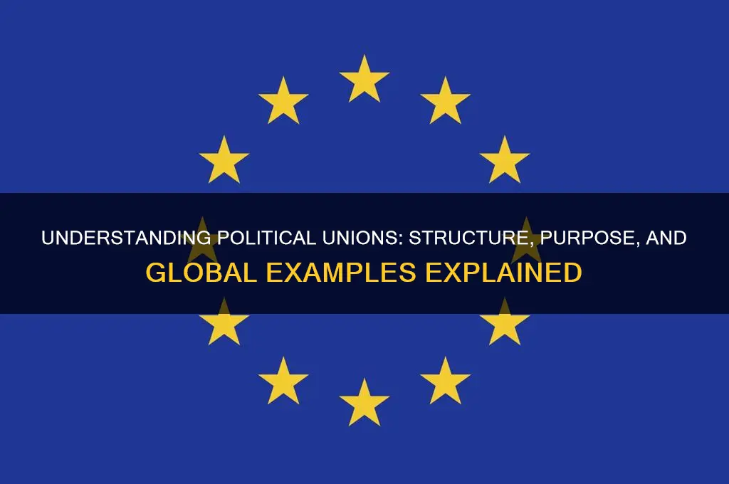what is a political union