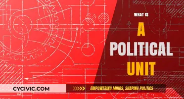 Understanding Political Units: Definitions, Functions, and Global Examples
