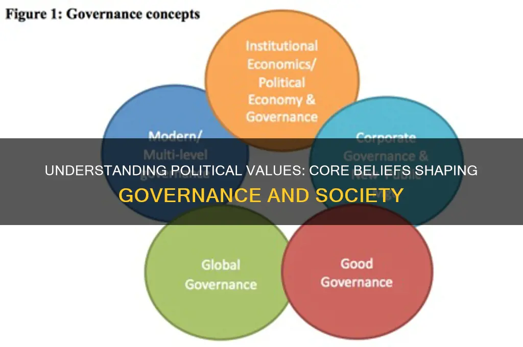 what is a political value